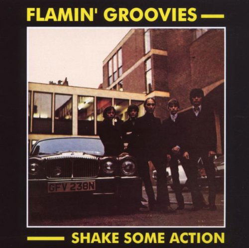 Cover for Flamin' Groovies · Shake Some Action (CD) (2020)