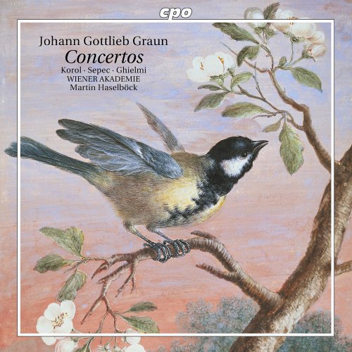 Concertos - Graun / Korol / Sepec / Ghielmi / Haselbock - Musik - CPO - 0761203988723 - 17. maj 2005