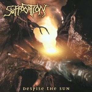 Cover for Suffocat · Despise the Sun (CD) (2005)