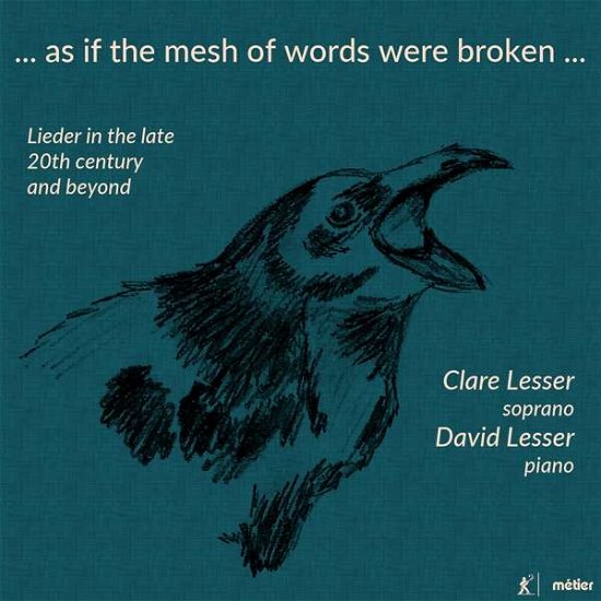 Cover for C. Lesser / D. Lesser · Mesh Of Words Were Broken (CD) (2018)