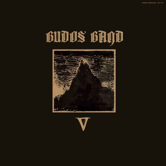 V - Budos Band - Musik - DAPTONE - 0823134005723 - 12. april 2019