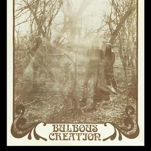 Cover for Bulbous Creation · You Won't Remember Dying (LP) (2021)