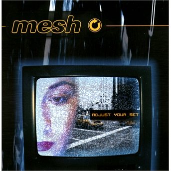 Cover for Mesh · Adjust Your Set (CD) (2013)