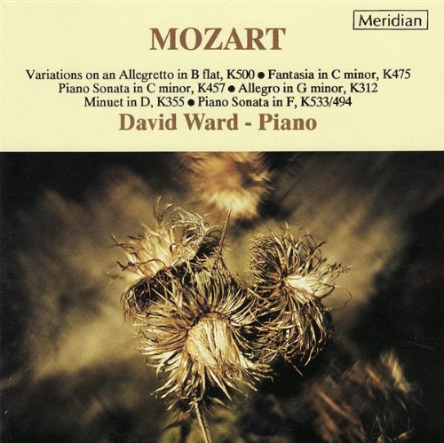Cover for Ward · Piano Music Meridian Klassisk (CD) (2000)