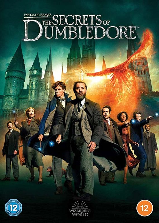 Fantastic Beasts 3 - The Secrets Of Dumbledore - Fantastic Beasts - the Secrets - Filme - Warner Bros - 5051892235723 - 25. Juli 2022