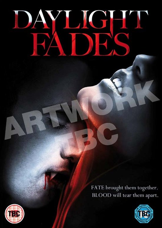 Daylight Fades - Brad Ellis - Filmes - Elevation - 5060223765723 - 5 de março de 2012
