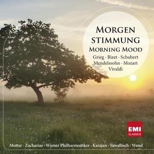 Morgenstimmung / Morning Mood - Various Artists - Muziek - PLG UK Classics - 5099962813723 - 29 maart 2010