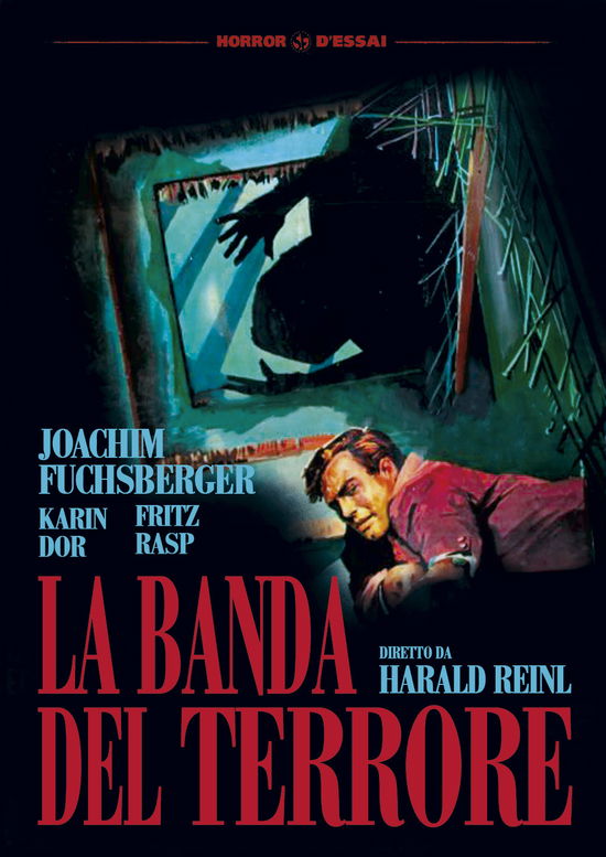 Cover for Banda Del Terrore (La) (DVD) (2017)