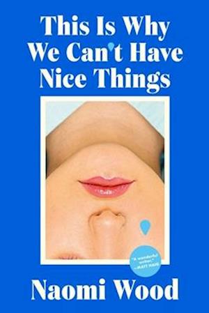 Cover for Naomi Wood · This Is Why We Can't Have Nice Things (Buch) (2024)