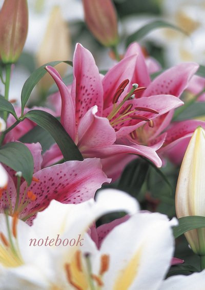 Cover for Peony Press · Notebook (Pink &amp; White Iris) (Spiral Book) (2015)