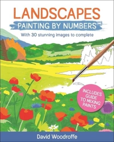 Cover for David Woodroffe · Landscapes Painting by Numbers (Paperback Book) (2021)