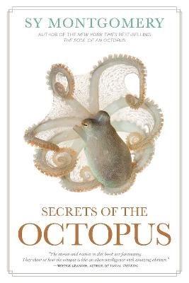 Cover for Sy Montgomery · Secrets of the Octopus (Innbunden bok) (2024)