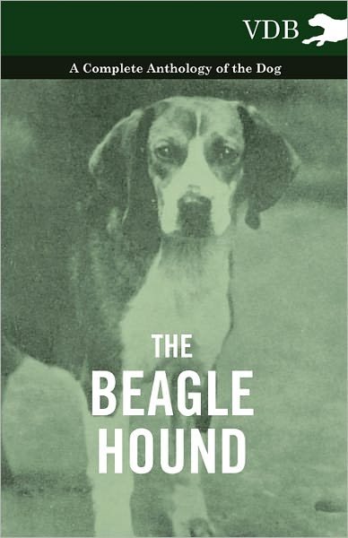 Cover for The Beagle Hound - a Complete Anthology of the Dog - (Paperback Book) (2010)