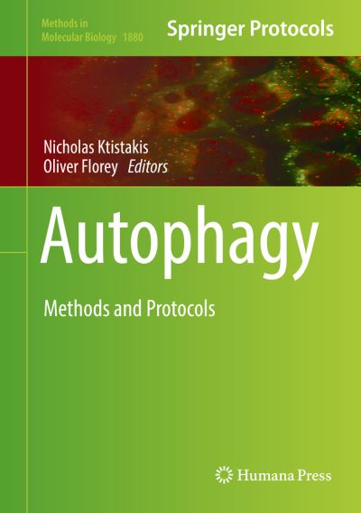 Cover for Autophagy (Book) [1st ed. 2019 edition] (2019)