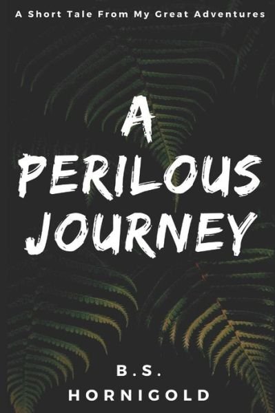 Cover for B S Hornigold · A Perilous Journey (Pocketbok) (2017)
