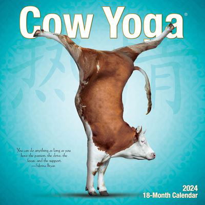 Cover for Willow Creek Press · Cow Yoga 2024 7 X 7 Mini Wall Calendar (Kalender) (2023)