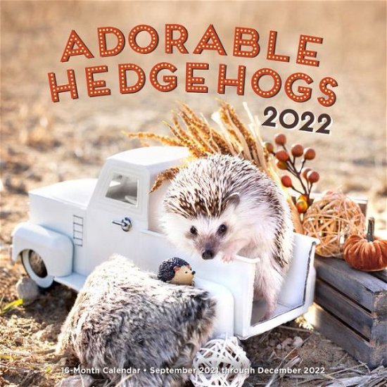Adorable Hedgehogs 2022: 16-Month Calendar - September 2021 through December 2022 - Editors of Rock Point - Marchandise - Rock Point - 9781631067723 - 21 septembre 2021