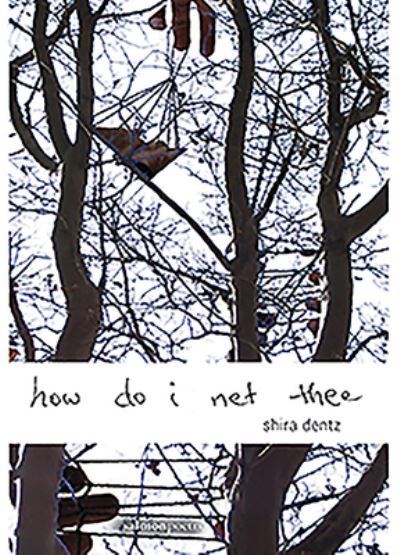 Cover for Shira Dentz · How Do I Net Thee (Paperback Book) (2018)