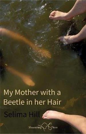Cover for Selima Hill · My Mother with a Beetle in her Hair (Pocketbok) (2020)