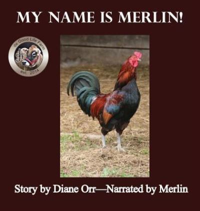 Cover for Diane Orr · My Name is Merlin (Hardcover Book) (2019)