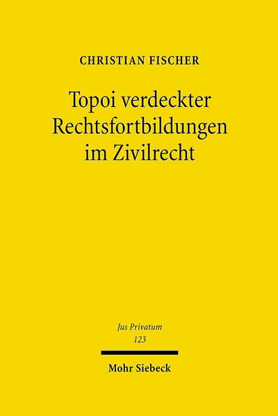 Cover for Christian Fischer · Topoi verdeckter Rechtsfortbildungen im Zivilrecht - Jus Privatum (Hardcover Book) (2007)