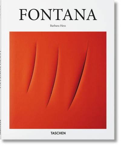 Cover for Barbara Hess · Fontana (Book) (2017)