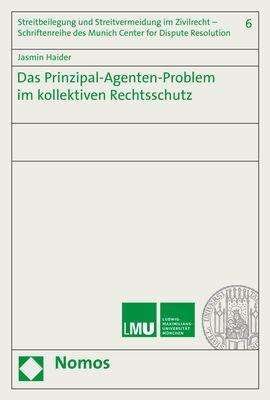Cover for Haider · Das Prinzipal-Agenten-Problem im (Bok) (2020)