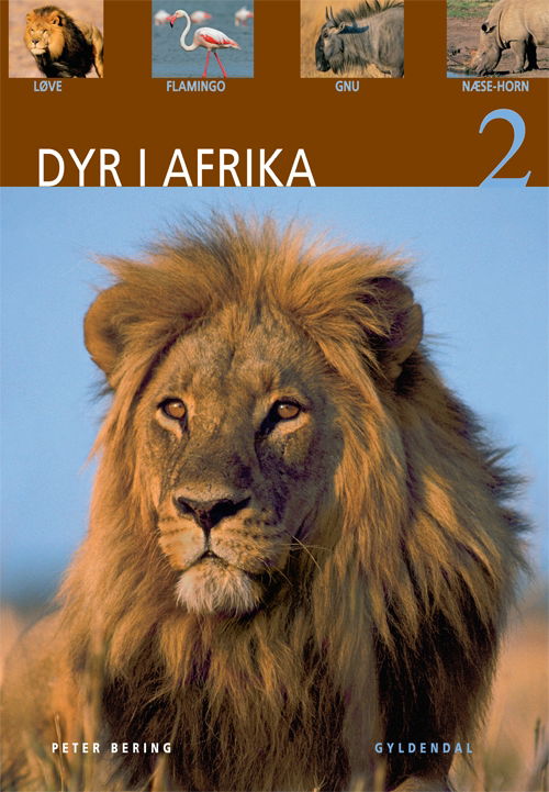 Dyr: Dyr i Afrika 2 - Peter Bering - Bücher - Gyldendal - 9788702056723 - 12. Februar 2010