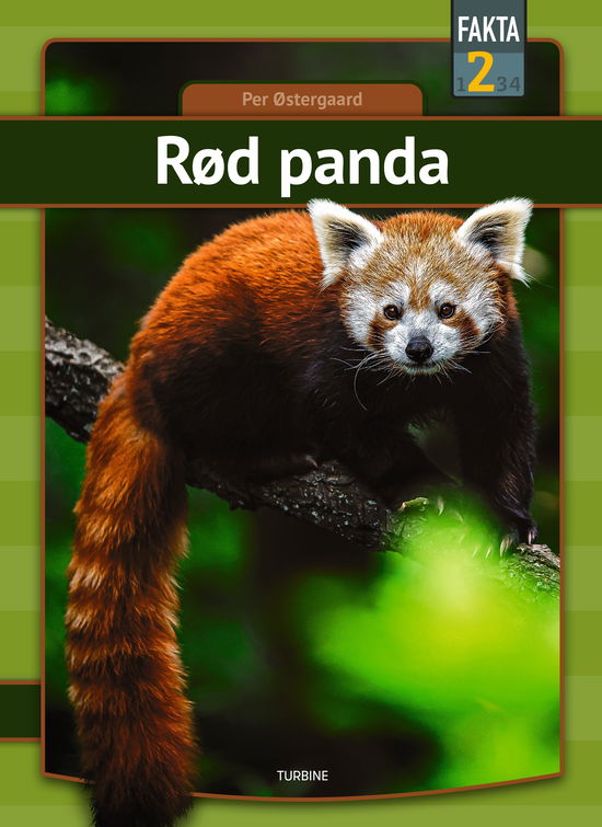 Cover for Per Østergaard · Fakta 2: Rød panda (Hardcover Book) [1.º edición] (2023)