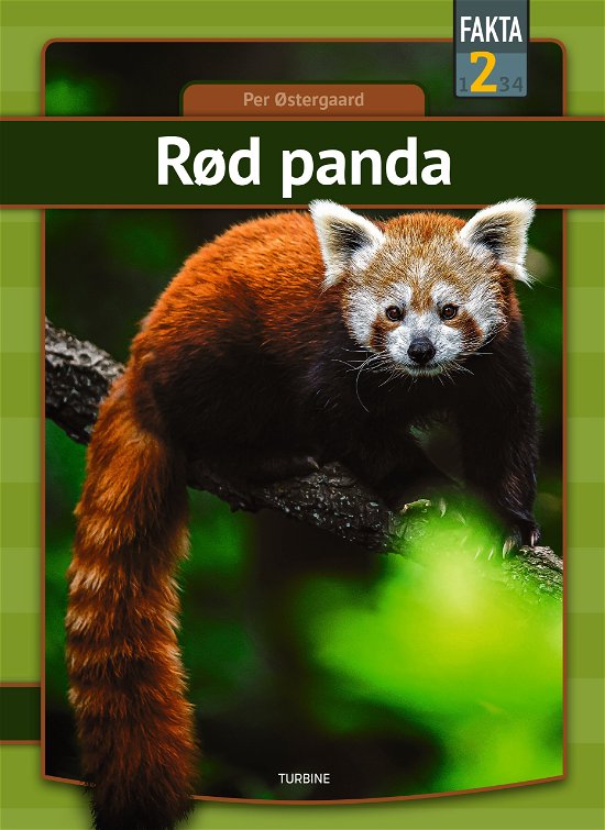 Cover for Per Østergaard · Fakta 2: Rød panda (Hardcover bog) [1. udgave] (2023)