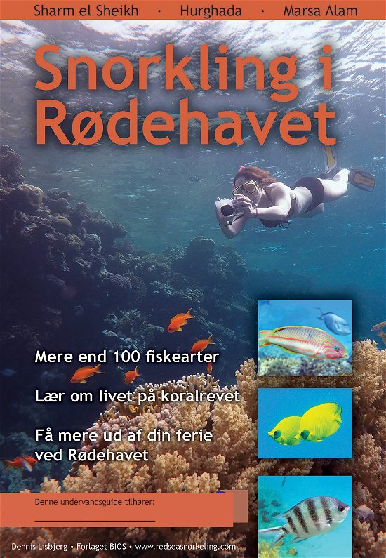 Cover for Dennis Lisbjerg · Snorkling i Rødehavet (Sewn Spine Book) [1. Painos] (2019)