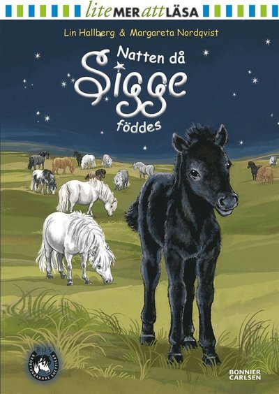 Cover for Lin Hallberg · Sam och Sigge: Natten då Sigge föddes (ePUB) (2015)