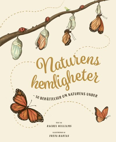 Cover for Rachel Williams · Naturens hemligheter - 50 berättelser om naturens under (Inbunden Bok) (2021)