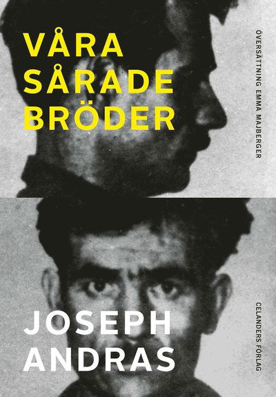 Cover for Joseph Andras · Våra sårade bröder (Paperback Book) (2024)