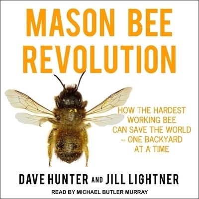 Cover for Dave Hunter · Mason Bee Revolution (CD) (2019)