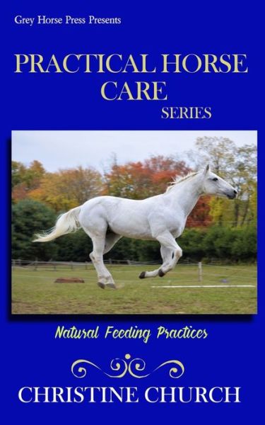 Cover for Christine Church · Practical Horse Care (Paperback Book) (2020)