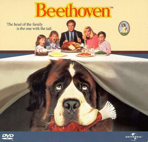 Beethoven - DVD - Movies - FAMILY, COMEDY, ADVENTURE - 0025192002724 - April 28, 2009