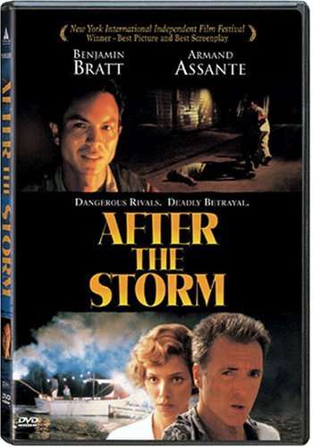 Cover for After the Storm (DVD) (2001)