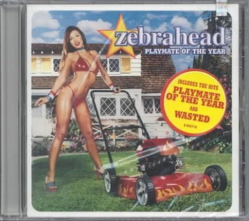 Playmate Of The Year - Zebrahead - Musik - COLUMBIA - 0074646381724 - 22. August 2000