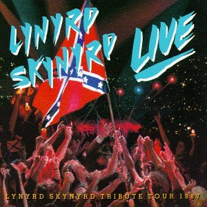 Cover for Lynyrd Skynyrd · Lynyrd Skynyrd-southern by the Grace of God (CD) (1990)