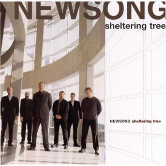 Cover for Newsong · Newsong-Sheltering song (CD)