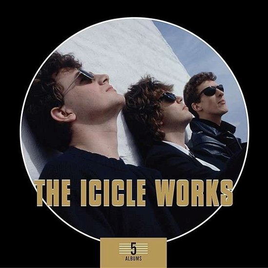 Cover for Icicle Works · 5 Albums Box Set (CD) [Box set] (2013)