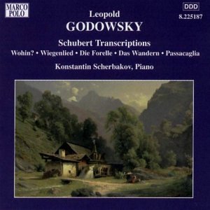 Cover for Franz Schubert · Schubert Transcriptions (CD) (2003)