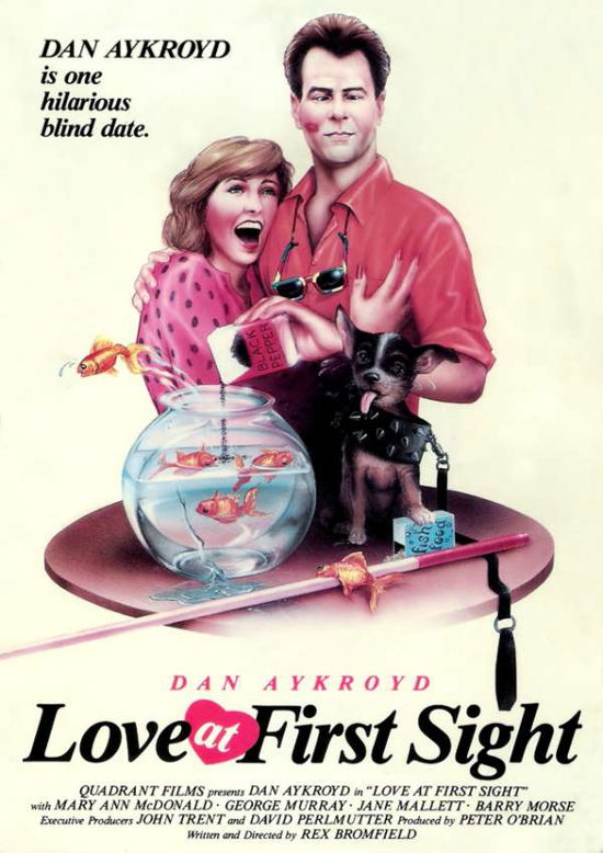 Cover for Love at First Sight (DVD) (2017)