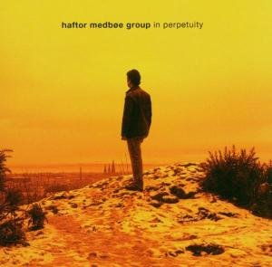 Cover for Haftor Medboe Group · In Perpetuity (CD) (2006)