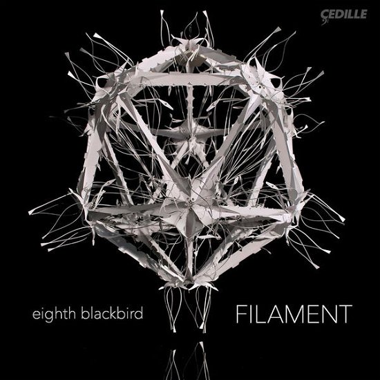 Filament - Dessner / Eighth Blackbird / Dessner / Muhly - Musiikki - CEDILLE - 0735131915724 - perjantai 11. syyskuuta 2015