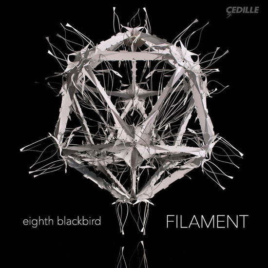 Cover for Dessner / Eighth Blackbird / Dessner / Muhly · Filament (CD) [Japan Import edition] (2015)