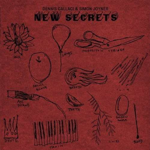 New Secrets - Simon Joyner - Musikk - SHRIMPER - 0759718116724 - 6. juni 2013