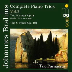 Complete Piano Trios 3 - Brahms / Trio Parnassus - Musik - MDG - 0760623065724 - 15. oktober 1996