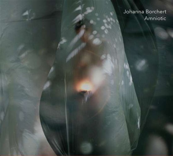 Cover for Borchert / Forsling / Bruun / Toldam · Amniotic (CD) (2022)